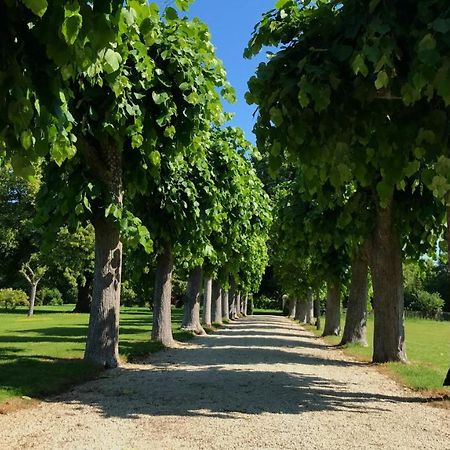 Le Manoir De Laferte-Sur-Aube Hotel Екстериор снимка